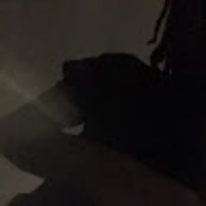 Meet your Posher, Selah